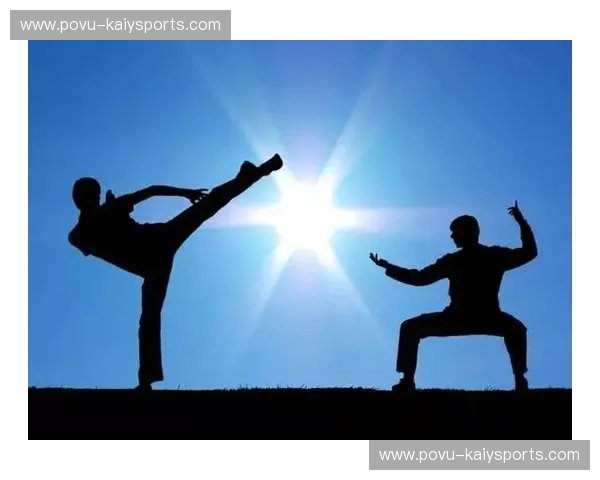 搏击的刚猛与太极的柔韧:一场跨越时空的对话 搏击的刚猛与太极的柔韧:一场跨越时空的对话